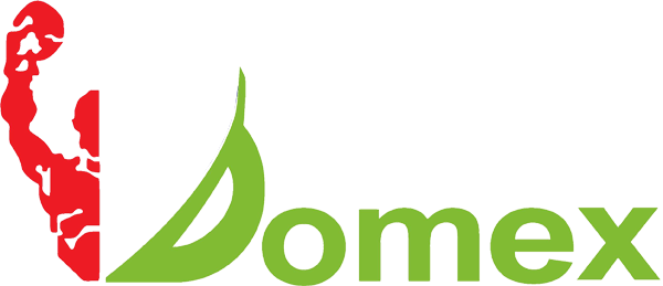 Domex Fighter